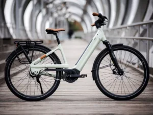 Liv allure  E+ 2 Evo Maat M Desert Sage