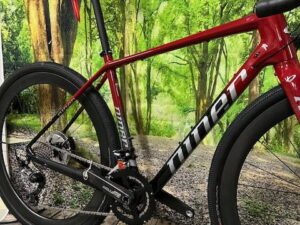 Gravel Niner RLT 9 RDO 2x11 GRX 800 Carbon Zipp wielen maat 53